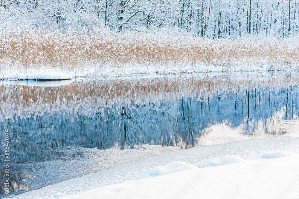 Winter Wonderland Reflected in Ice Winter Wonderland Reflected in Ice