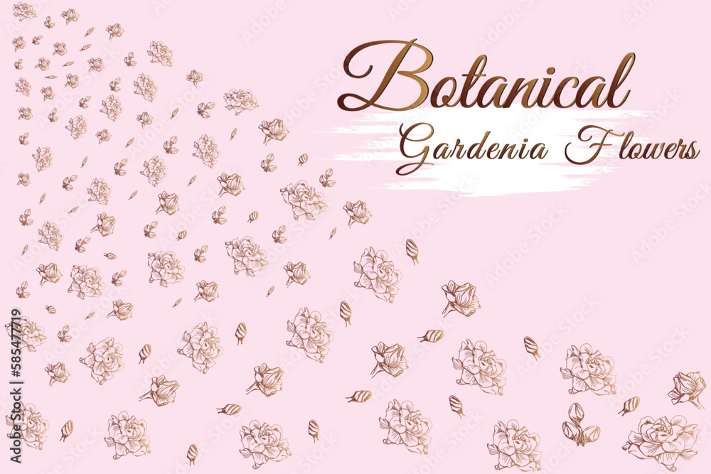 Gardenia line flowers.
frame and pink background vector illustration. Gardenia line flowers.
frame and pink background vector illustration.