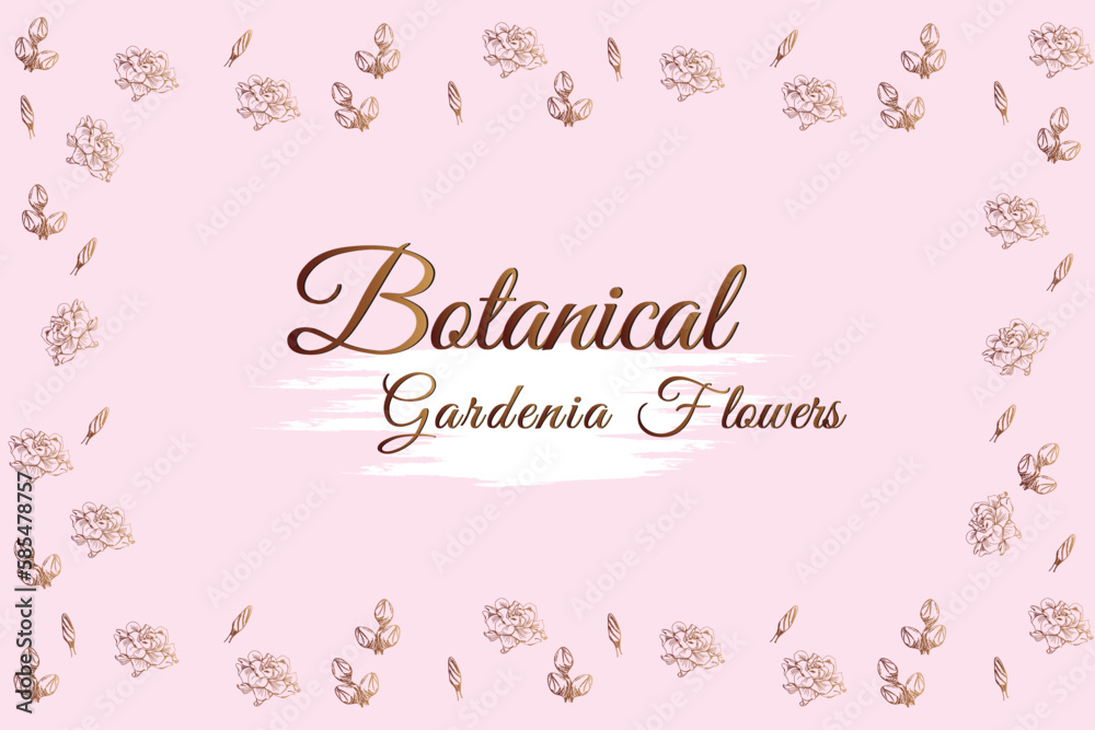Gardenia line flowers.
frame and pink background vector illustration.