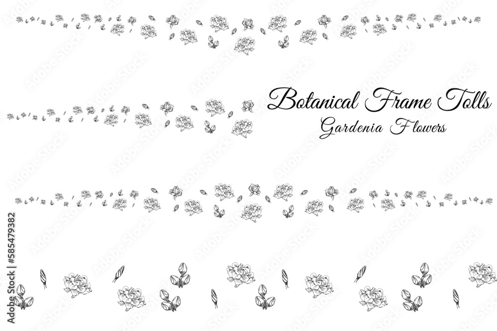 gardenia line flower petals flowers.
frame tolls background vector illustration.