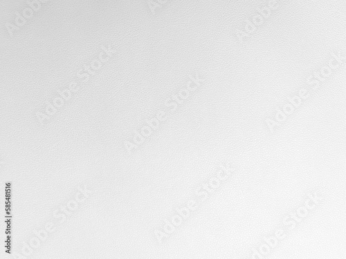 Background of leather, white, detailed, rough, pattern throughout. Suitable for designing in general graphics or used as wallpaper. There is space to place text..