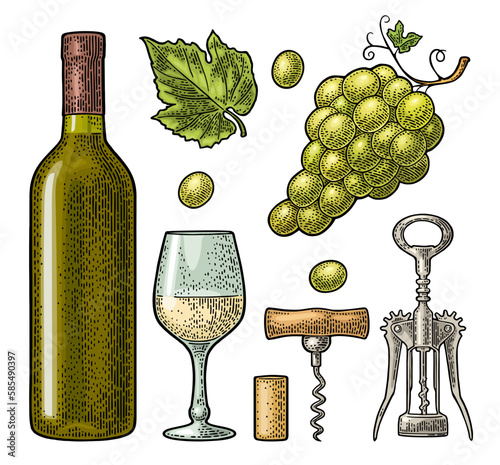 Set for wine shop. Vintage engraving vector illustration isolated on white