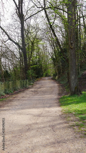 Des chemins de terre d'un grand jardin de luxe et chic d'un domaine ou demeure royal, avec gazon bien entretenu, quelques flaques d'eau, un ciel gris et nuageux et une liberté totale dans la nature