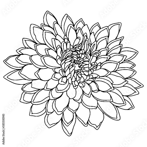 Vector flower for coloring book or page