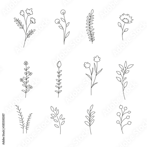set of illustrations including different tree leaves. Brush art of forest flora is turned to the side
Outline botanical drawing for coloring. vector illustrations of plants. plant icons