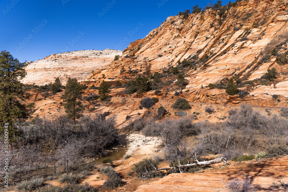 Zion National Park, Grand Canyon in Arizona and Utah Zion National Park, Grand Canyon in Arizona and Utah
