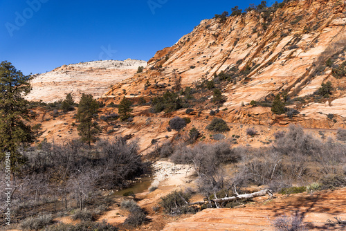 Zion National Park, Grand Canyon in Arizona and Utah