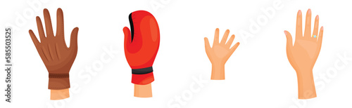 Different Human Right and Left Hands with Palm Raised Up Vector Set