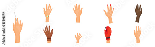 Different Human Right and Left Hands with Palm Raised Up Vector Set