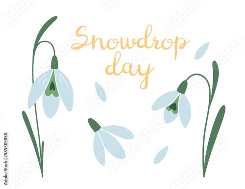 Snowdrop day, first spring flowers, cartoon style. Trendy modern vector illustration isolated on white background, hand drawn, flat