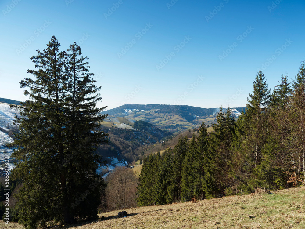 Obraz premium Schwarzwald. Fröhnd im Wiesental. Wunderschöne Naturlandschaften mit Blick auf Zell bergland