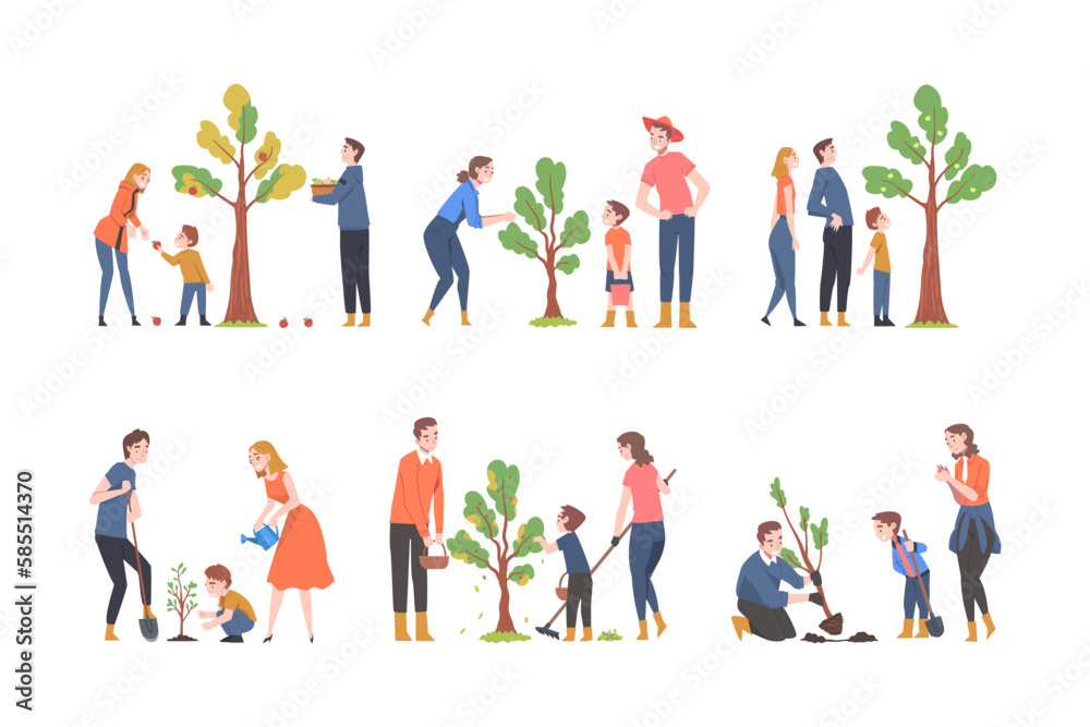 People Characters Planting Tree Sapling Picking Fruits Vector Illustration Set