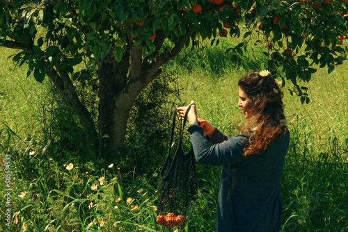 a beautiful woman picks oranges
