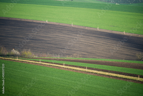 Spring fields in South Moravia © alexugalek