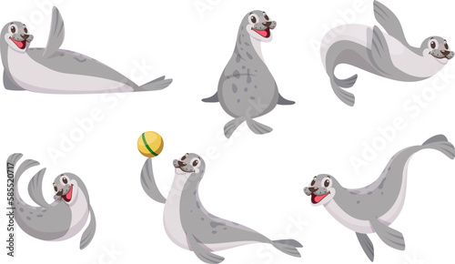 Sea animals. Polar Seal in action poses Antarctic wild animal exact vector cartoon set
