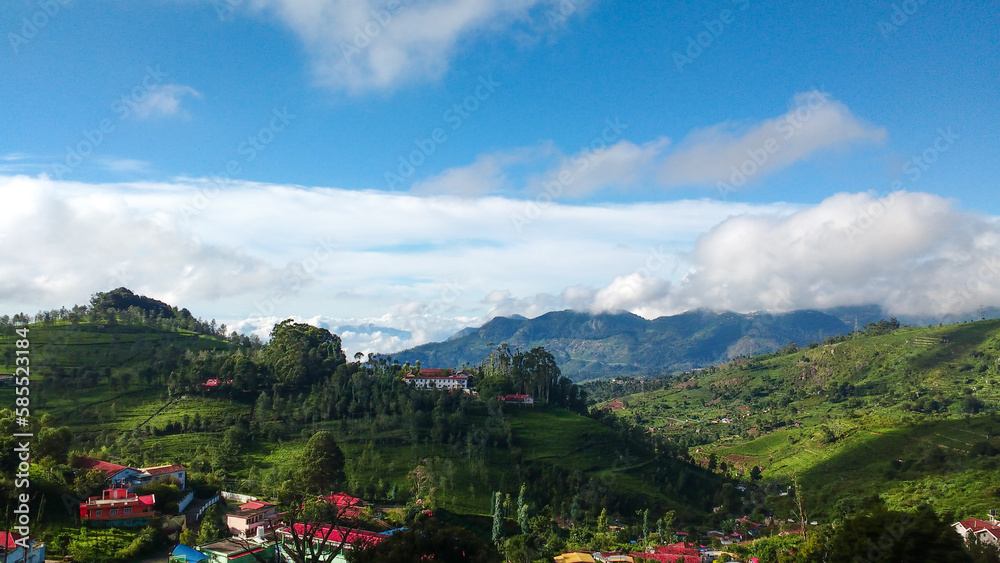 A View to Remember: Tea Gardens and Fluffy Clouds