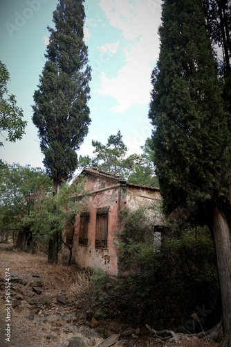 Vacation destination Chios Greece: Lost Places Lovokomeio Leper Colony. Remains of buildings and trees, here cypresses.