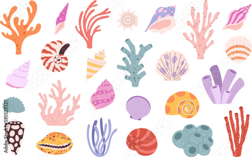 Cartoon corals and seashells, algae underwater elements. Ocean blue natural plants, seashells aquarium set. Shell, laminaria, racy marine vector clipart