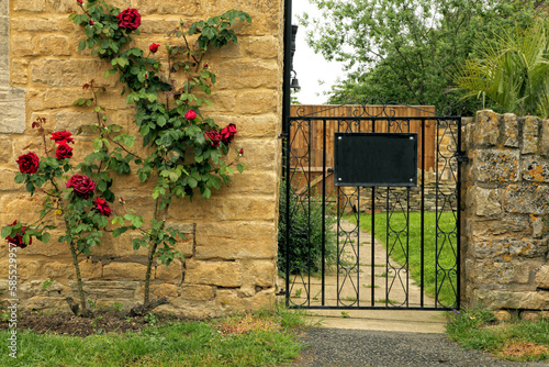 Black metal gate into garden next to stone English cottage with red rose bush on the wall, on a summer day .
