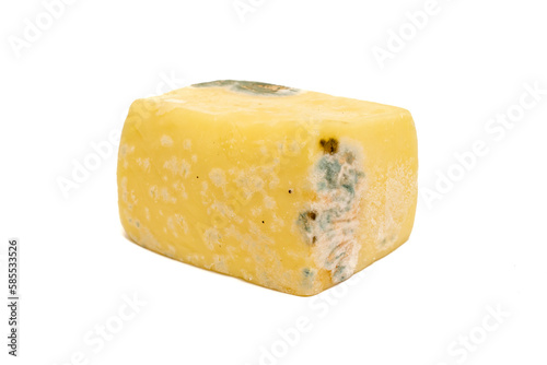 ripening yellow cheese. mold covered cheese, spoiled cheese
