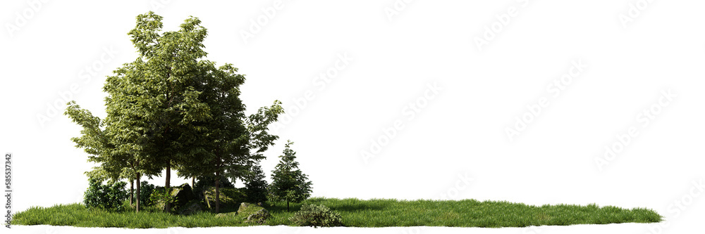 tree and grass in a small grove landscape, isolated with empty space on transparent background banner