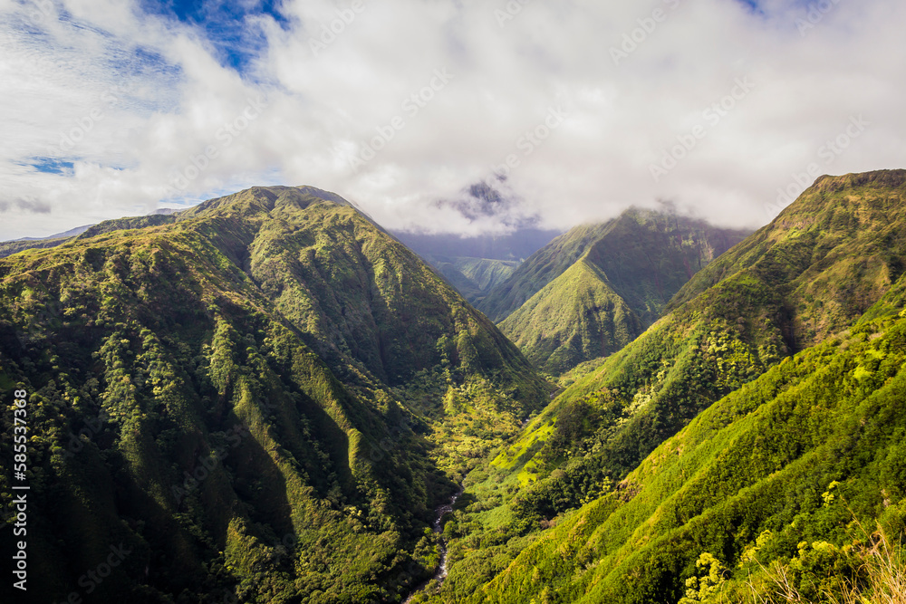 Naklejka premium hawaii mountains