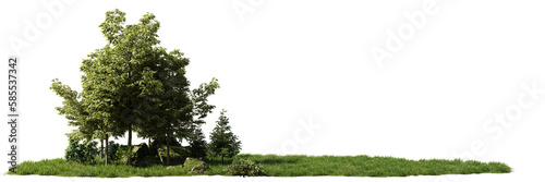Obraz na płótnie tree and grass in a small grove landscape, isolated with empty space on transparent background banner w salonie