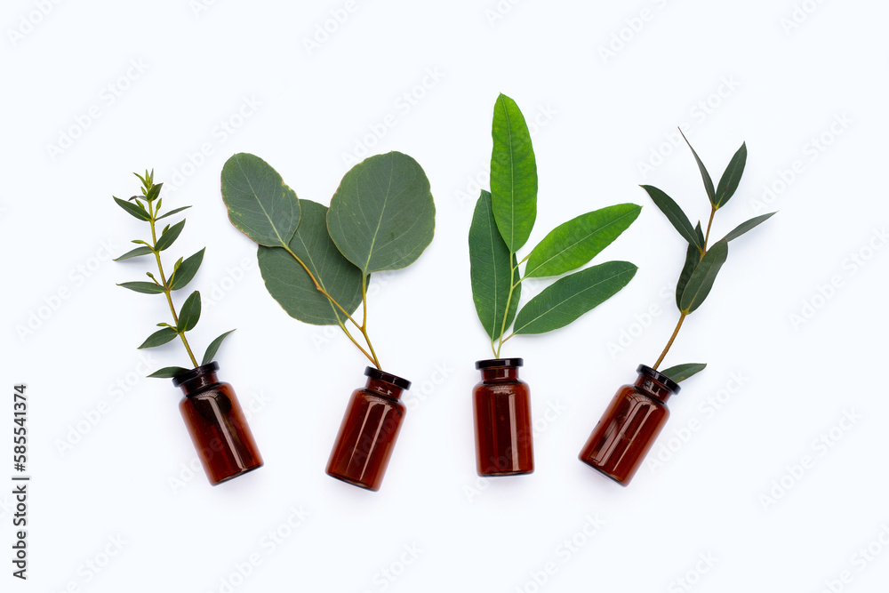Green leaves of eucalyptus with essential bottles on white Green leaves of eucalyptus with essential bottles on white