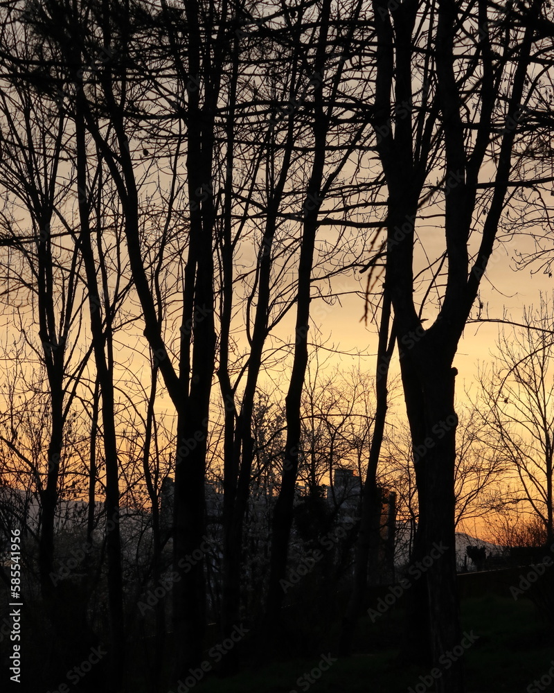 Naklejka premium Dramatic sunsets