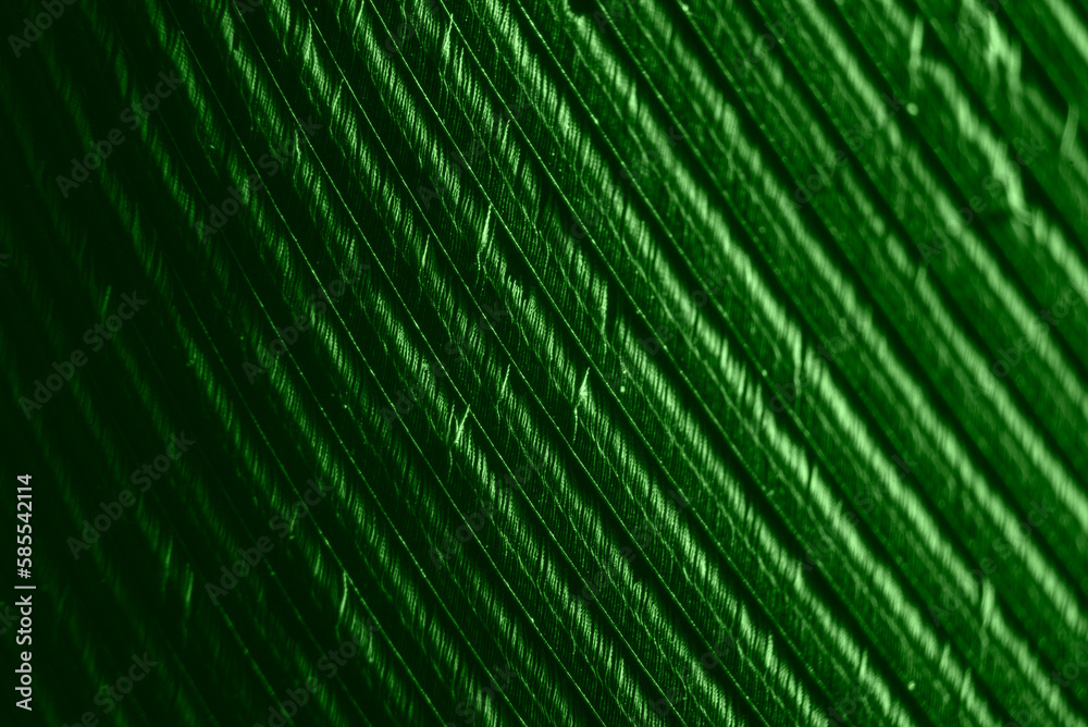 The surface of a green feather with visible texture and details in macro enlargement. The surface of a green feather with visible texture and details in macro enlargement.