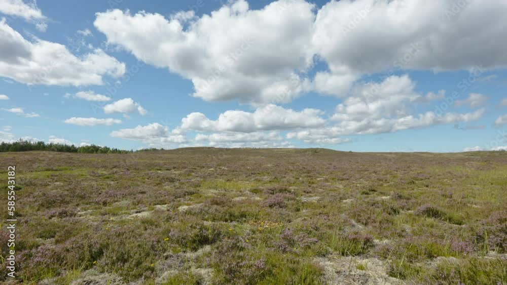 The landscape view of the mountain top in Estonia The landscape view of the mountain top in Estonia