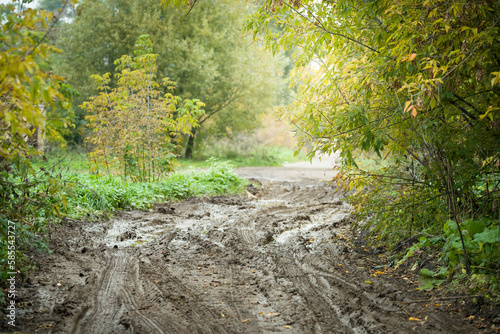 Broken country road surrounded by trees on a sunny day. Village road with ruts, pits and traces of the wheels. Off-road. Autumn rural landscape