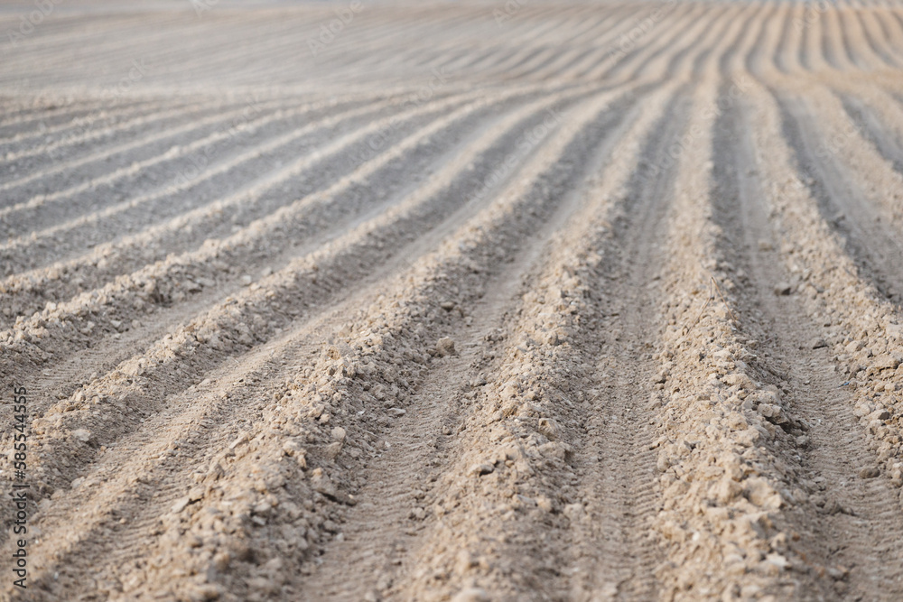 A large plowed agricultural field. Rows of beds ready for new plants. Selective focus A large plowed agricultural field. Rows of beds ready for new plants. Selective focus
