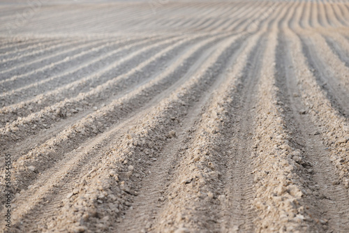 A large plowed agricultural field. Rows of beds ready for new plants. Selective focus