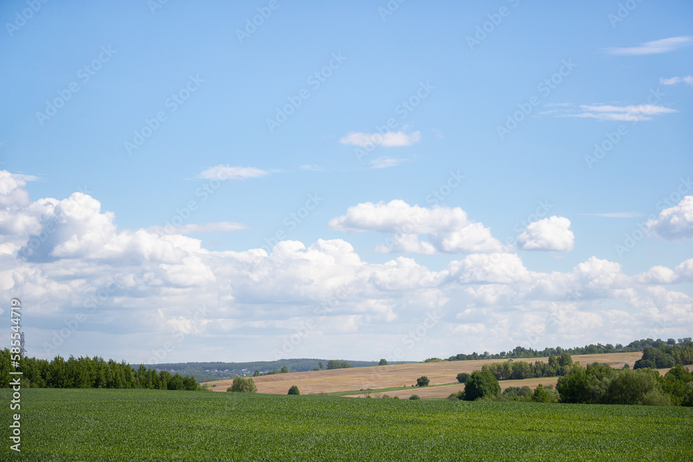 Beautiful view of agricultural fields on a sunny day