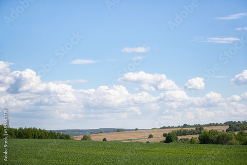 Beautiful view of agricultural fields on a sunny day