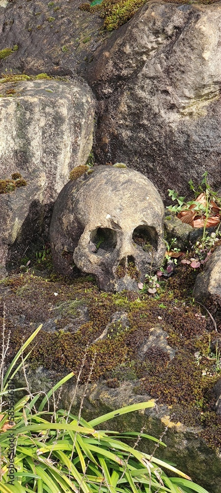 Totenschädel aus Stein bei Trier Totenschädel aus Stein bei Trier