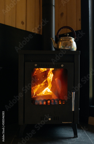 wood burning stove in fireplace