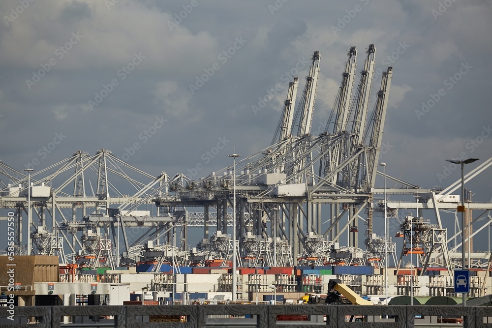 Gantry cranes for cargo containers in Rotterdam