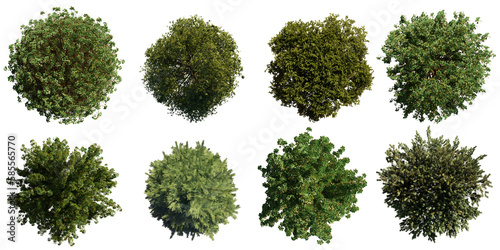 trees from above, collection of lush plants isolated on transparent background  © dottedyeti