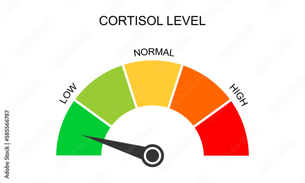Cortisol meter gauge. Body stress response levels. Round chart with arrow from low to high isolated on white background. Vector flat illustration. Cortisol meter gauge. Body stress response levels. Round chart with arrow from low to high isolated on white background. Vector flat illustration.