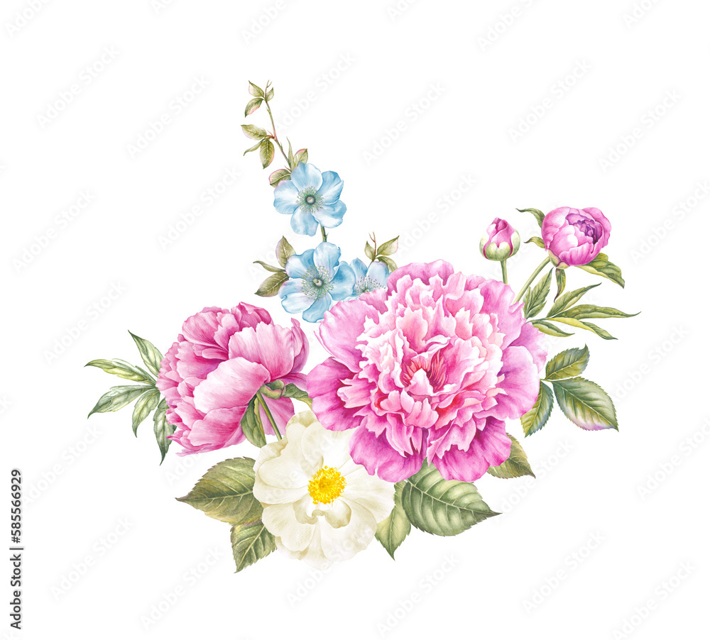 Pink watercolor peony. Floral isolated illustration.