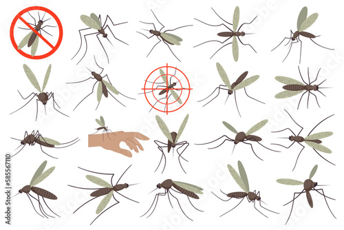 Mosquitoes flat illustrations set. Small flying insect, bites and sucks blood. Neutralize bug