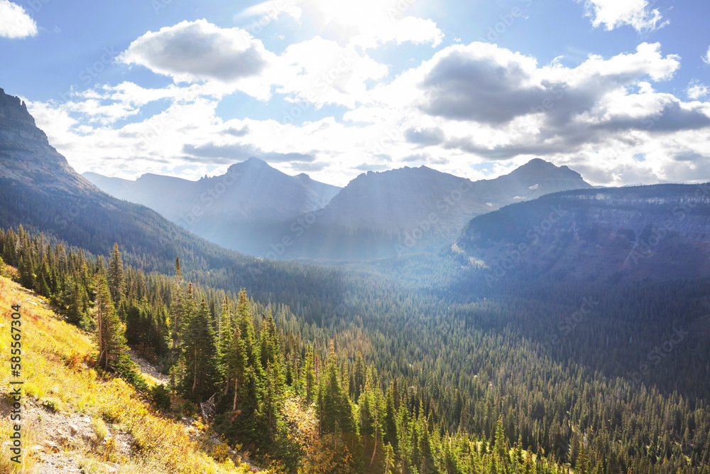 Obraz premium Glacier Park