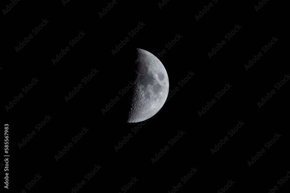 Moon Moon