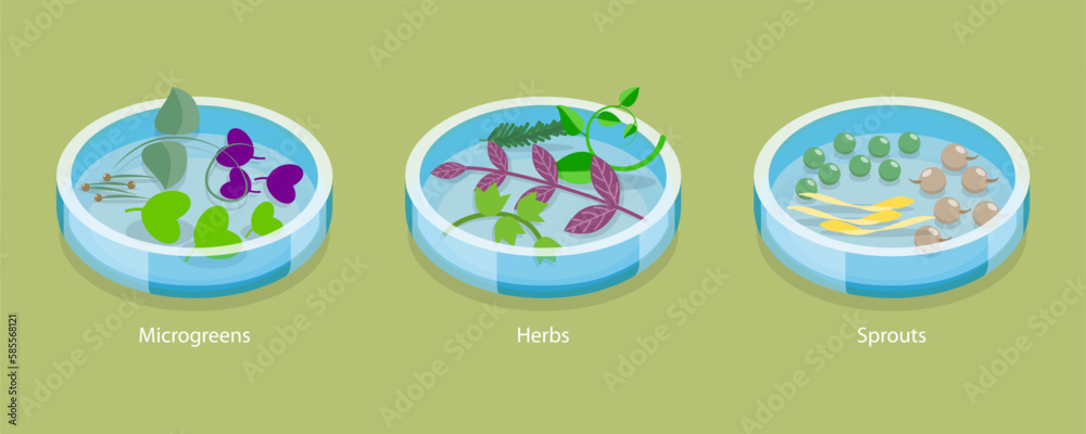 3D Isometric Flat Vector Conceptual Illustration of Microgreen, Herb And Sprouts, Growing Seeds 3D Isometric Flat Vector Conceptual Illustration of Microgreen, Herb And Sprouts, Growing Seeds