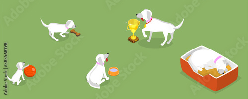 3D Isometric Flat Vector Set of Pets Growth Stages, Dog at Different Age