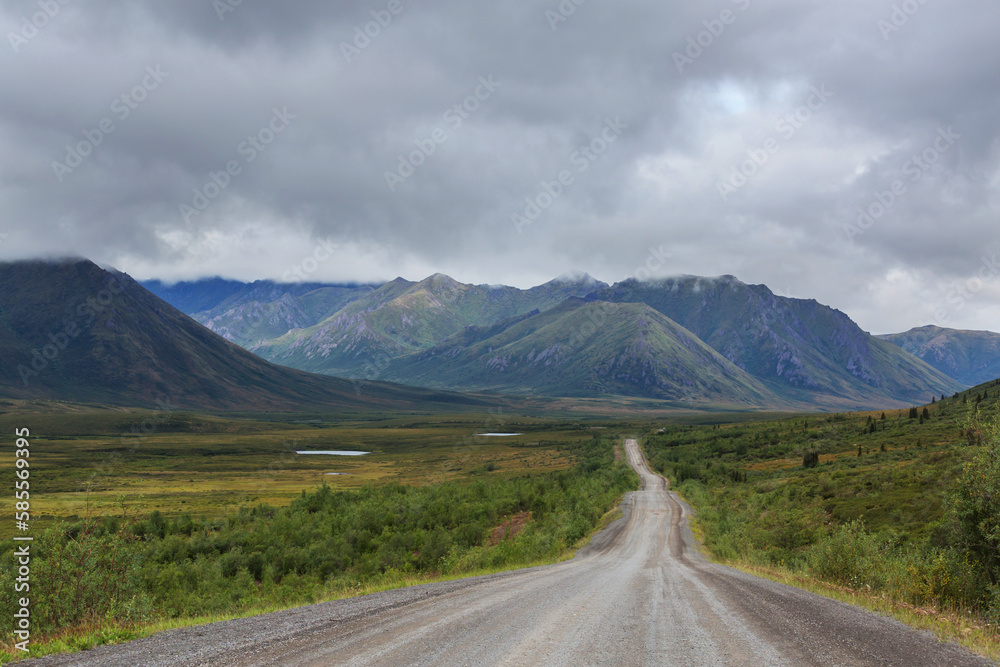 Road in tundra