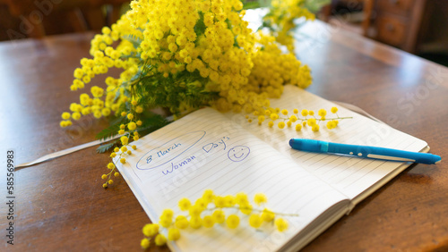 flowers and potted flowers of mimosa a beautiful flower symbol of Women’s Day celebrated on March 8