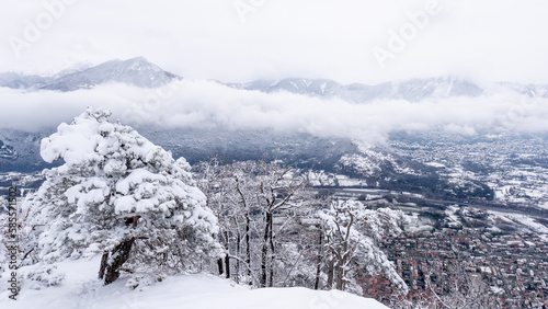 panorama of hills and snowy trees  